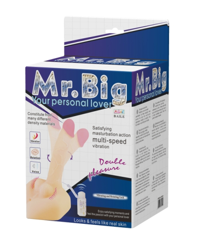 2 в 1 Мастурбатор Вагіна і реалістичний вібратор з функцією ротації Lybaile Mr BIG - 9