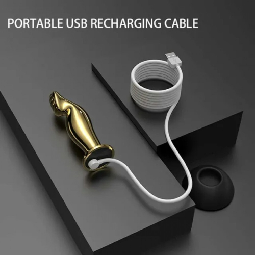 Вибратор для простаты с пультом ДУ металлический золотистого цвета Lockink Sevanda Eros - 5